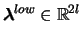 $\boldsymbol{\lambda}^{low} \in \mathbb{R} ^{2l}$