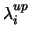 $\lambda^{up}_i$