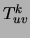 $T_{uv}^k$